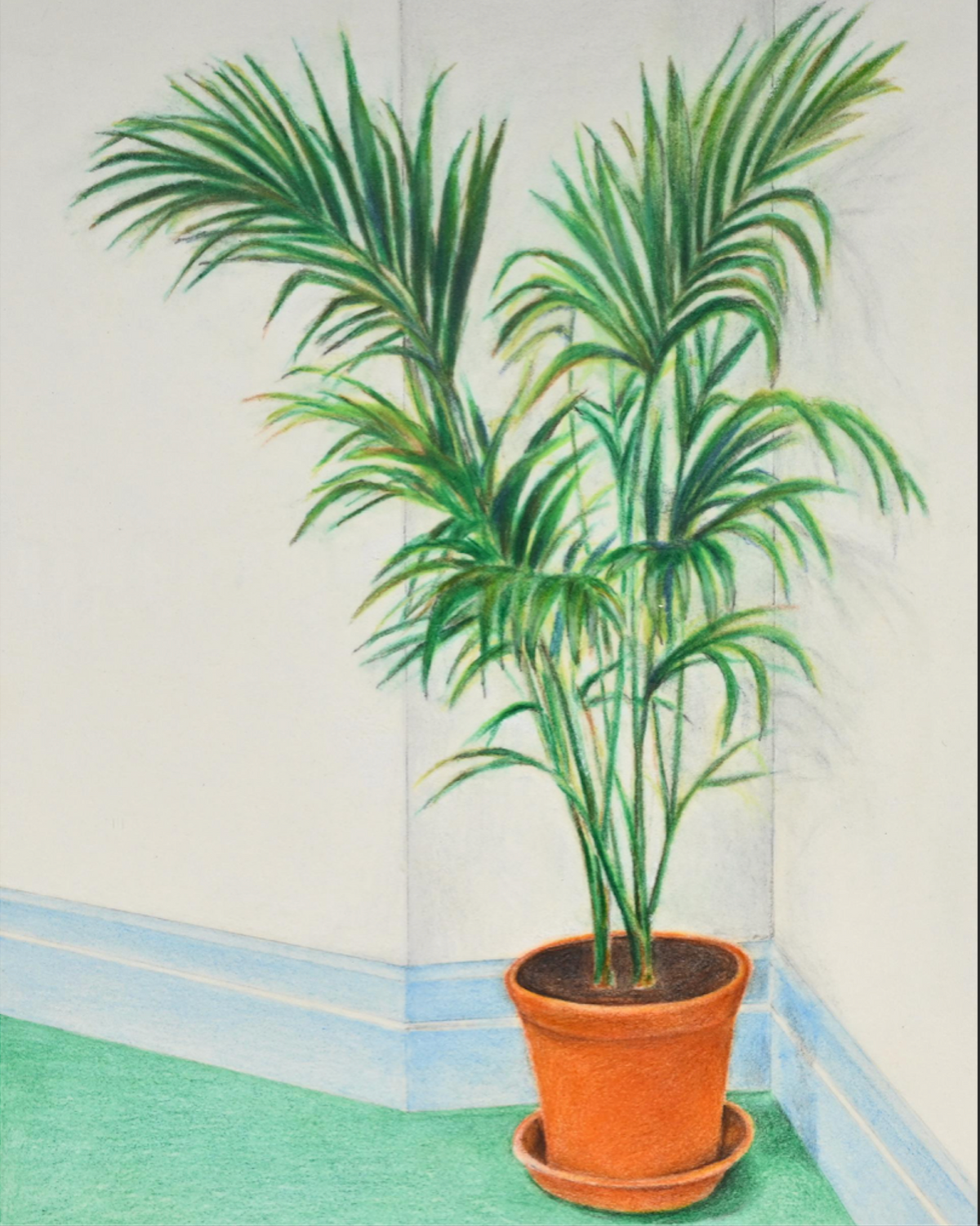 Pierre LAHAUT - Plante verte