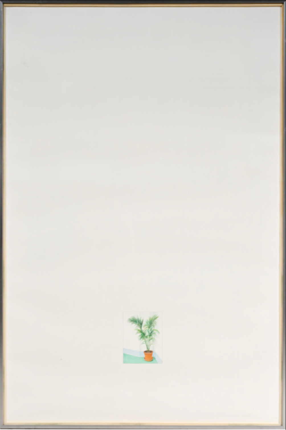 Pierre LAHAUT - Plante verte
